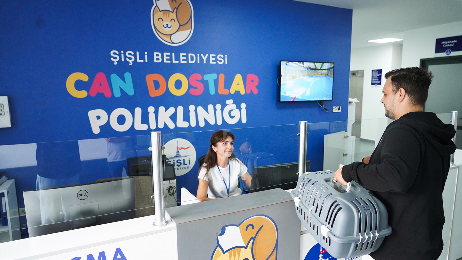 ŞİŞLİ BELEDİYESİ’NDEN SOKAK HAYVANLARINA ŞEFKAT ELİ