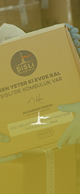 Sosyal Destek Hizmetleri