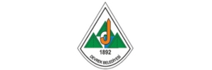 Divriği Belediyesi - Sivas Logo