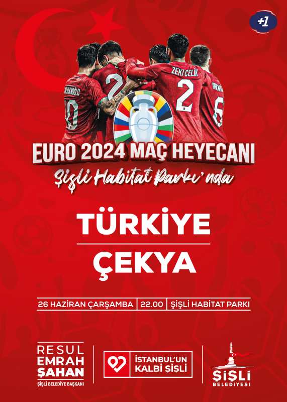 TÜRKİYE- ÇEKYA MAÇI